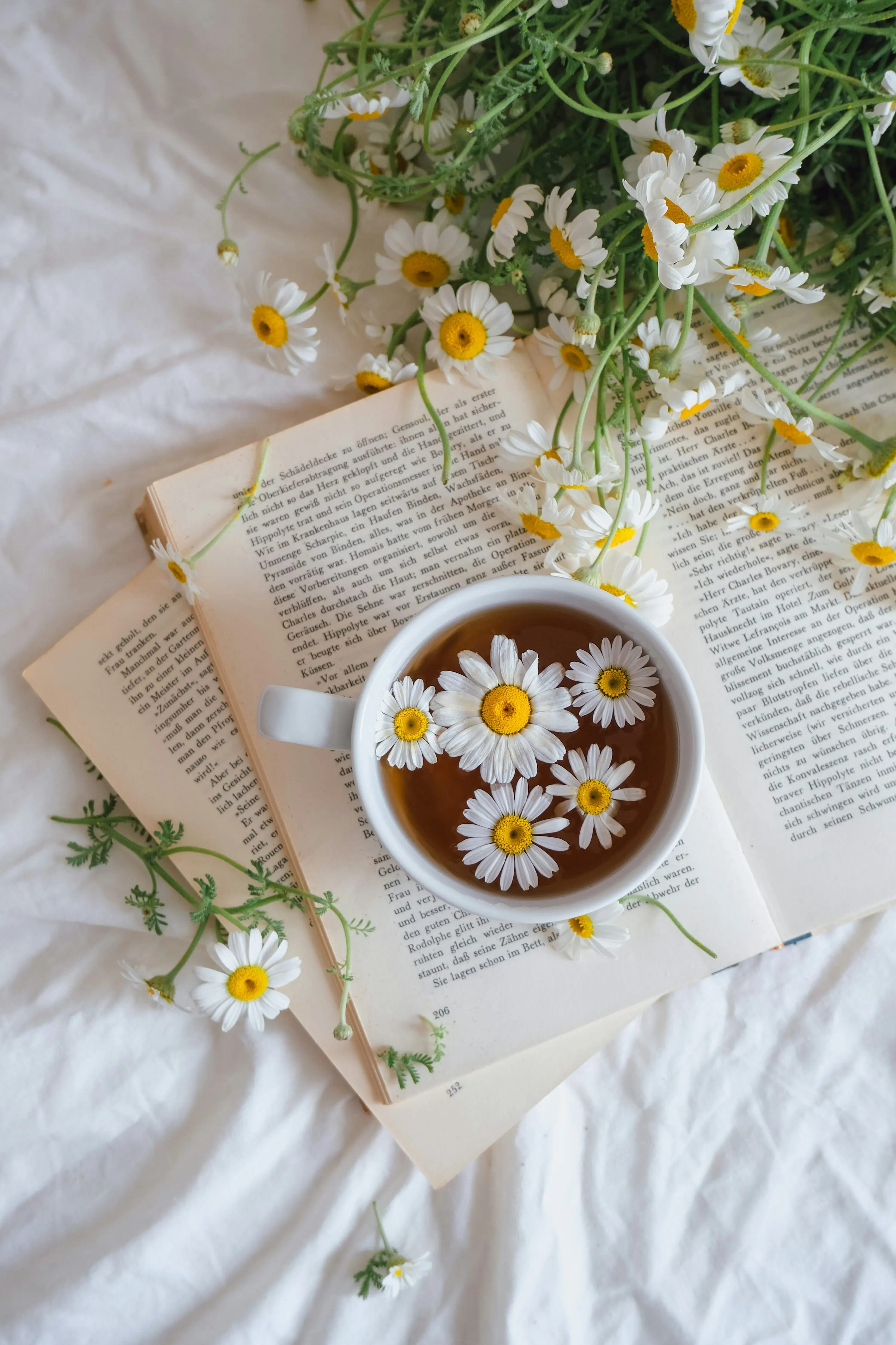 Camera da letto Albego Golfo Follonica